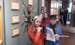 Classe Decouverte   031